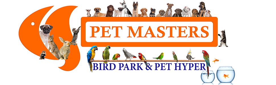 Pet Masters