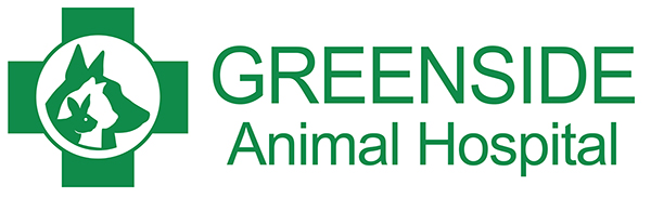 Greenside Animal Hospital - Grooming Services